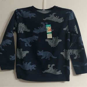 Boy’s sweatshirt Dinosaurs graphics crewneck pull over long sleeves blue. 5T/NP5
